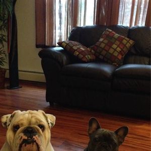 Meet your Posher, Patricia